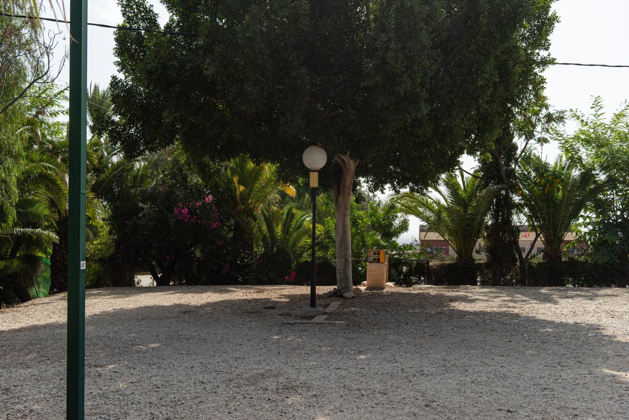 Camping Las Palmeras كريفايلنت المظهر الخارجي الصورة