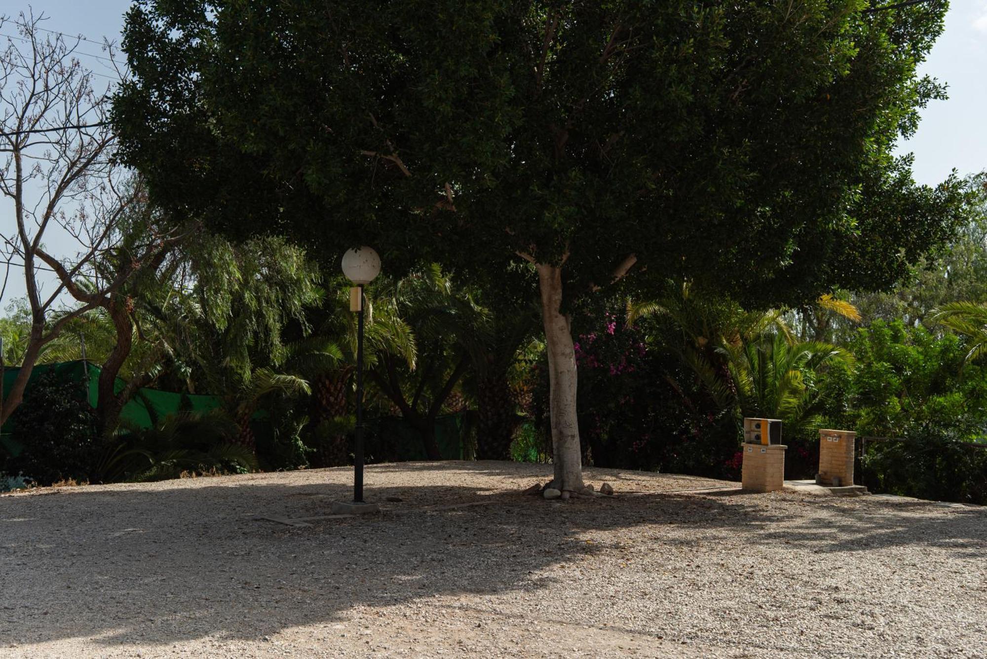 Camping Las Palmeras كريفايلنت المظهر الخارجي الصورة